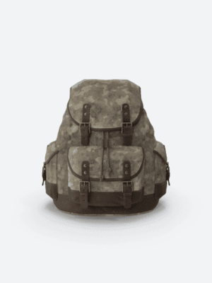 Urban Canvas Backpack